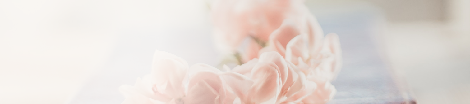 Närbild av mjuka rosa blommor i dimmigt ljus.